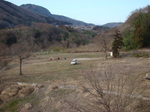 DSC03968.JPG