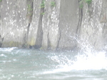 DSCN4388.JPG