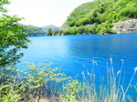 DSCN4781.JPG