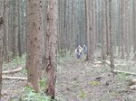 DSCN7133.JPG