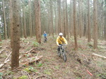 DSCN7135.JPG