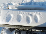 DSCN7981.JPG