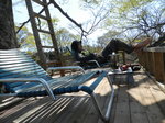 DSCN8255.JPG