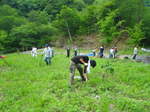 IMGP0122.JPG