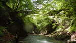 IMGP0246.JPG
