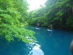 IMGP0641.JPG